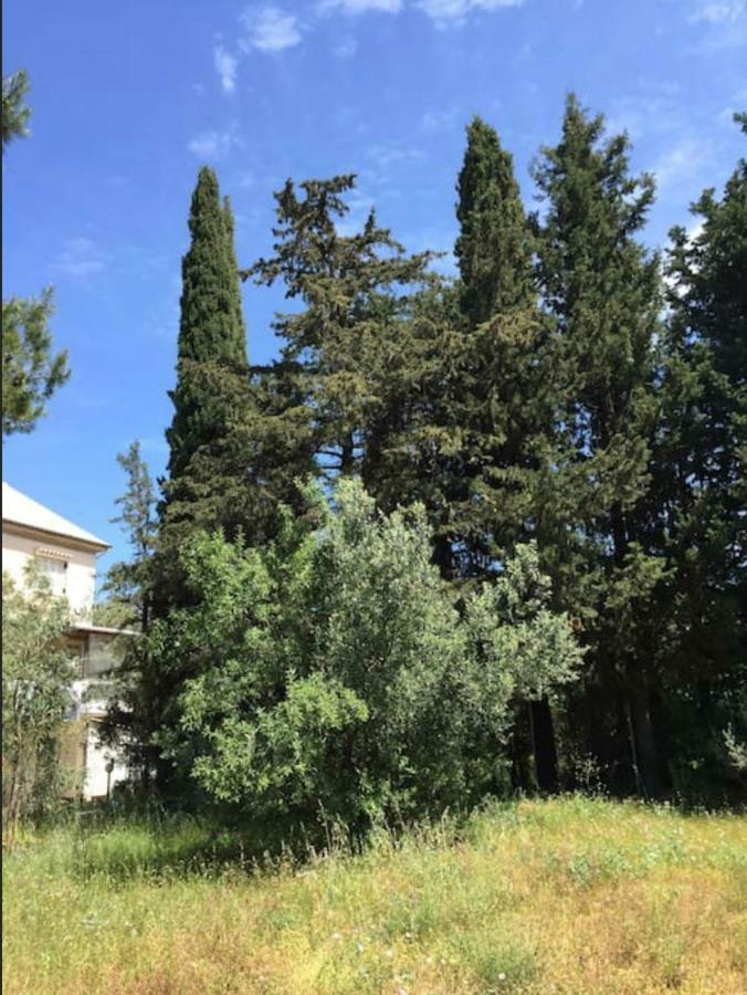 Villa Salomi Λευκάδα Εξωτερικό φωτογραφία